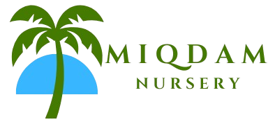 Miqdam Nursery