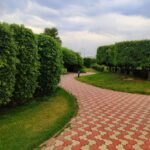 Landscaping services in Dubai for modern outdoor spaces