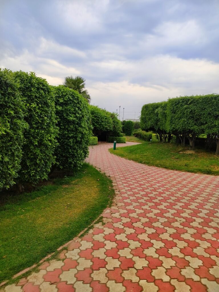 Landscaping services in Dubai for modern outdoor spaces
