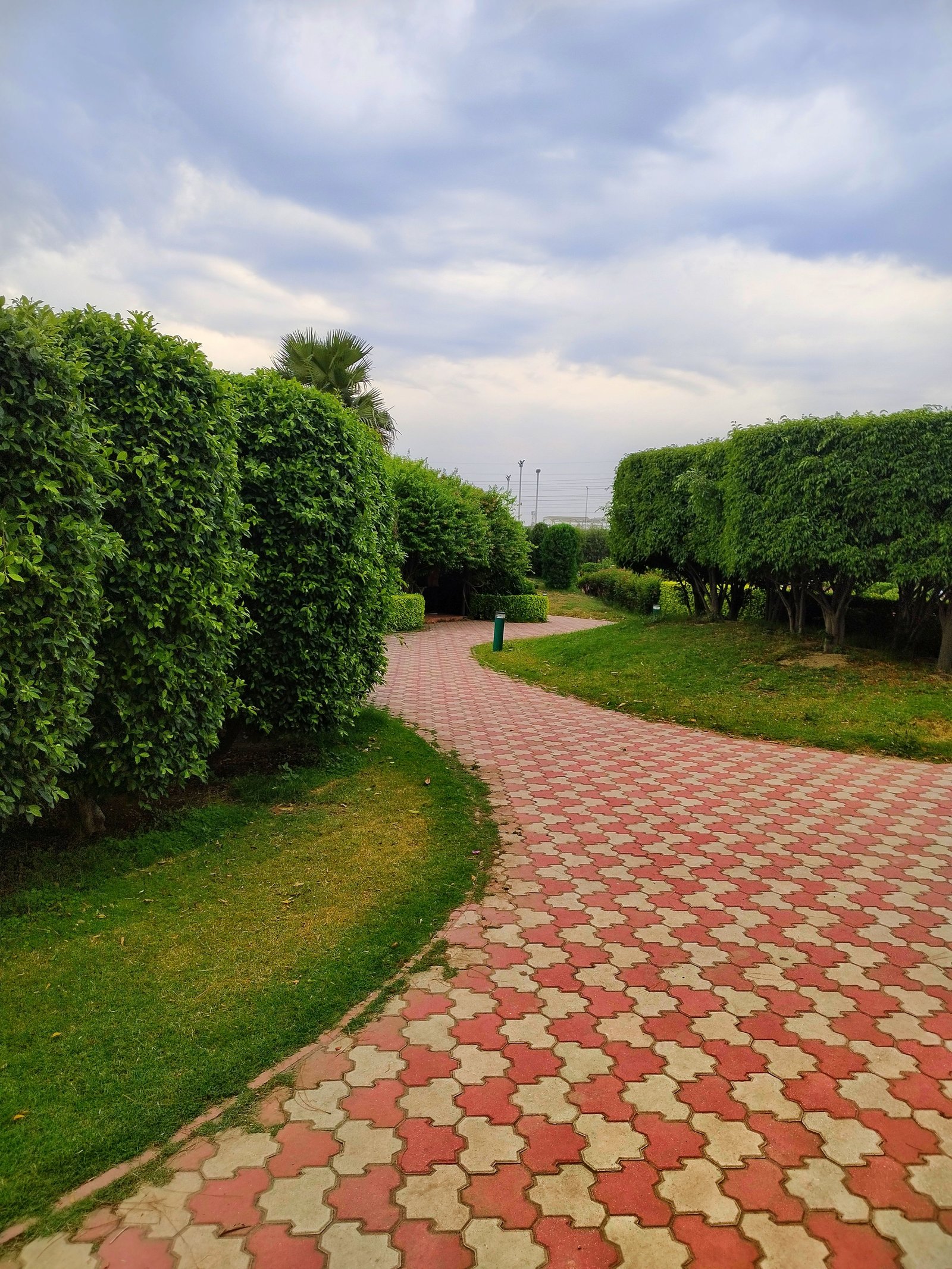 Landscaping services in Dubai for modern outdoor spaces